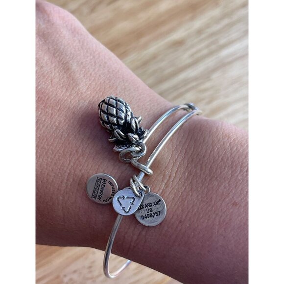 Alex and Ani Jewelry - Alex And Ani Silver Pineapple Expandable Bangle Bracelet With Energy Technology